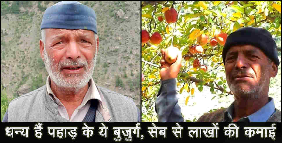 apple production: farmer getting good benefit from production of apples