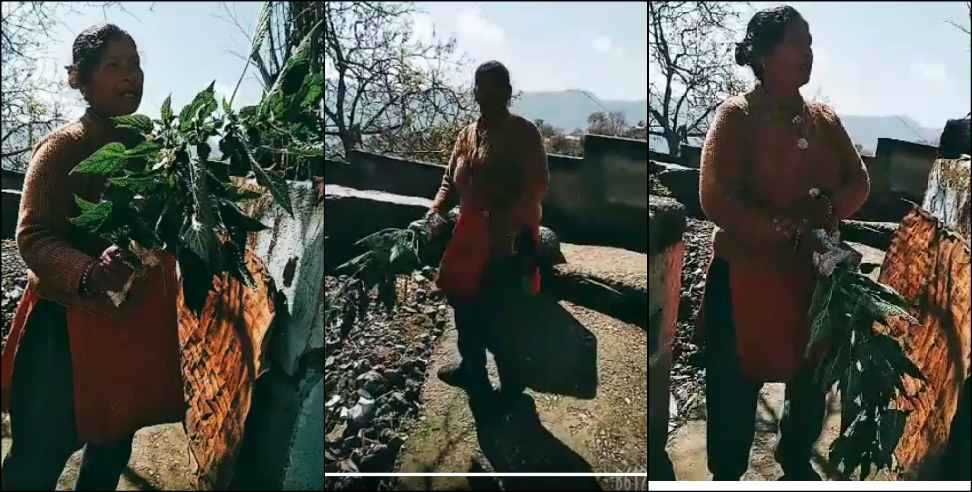 Coronavirus Uttarakhand: Coronavirus Uttarakhand:Pahadi women video viral over coronavirus