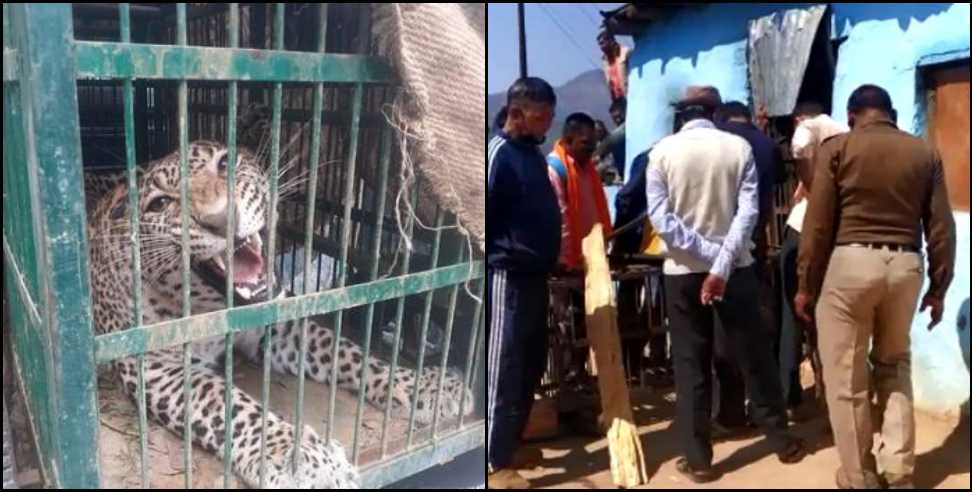 Pauri Garhwal Dhumakot Guldar: Leopard entered Dhumakot house