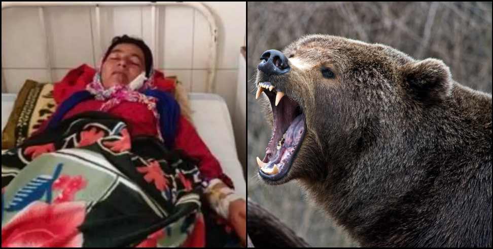 bageshwar danuli devi bear: Bear attacked Danuli Devi of Bageshwar Keemu village