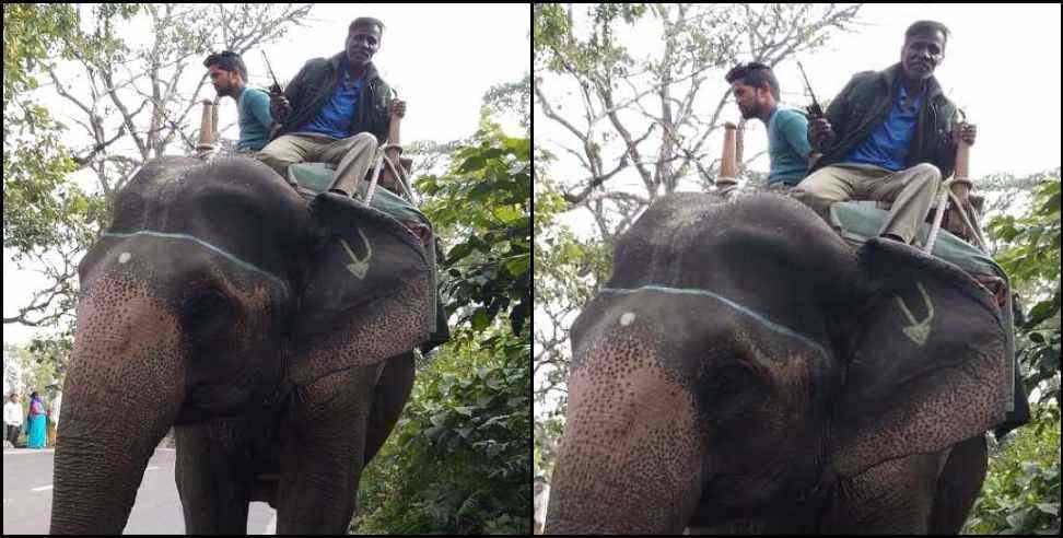 corbett national park elephant mahawat story: corbett national park elephant asha and mahawat sharib