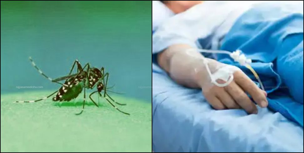 dengue in haridwar: 3 cases and 1 suspected patient death careful of dengue and malaria