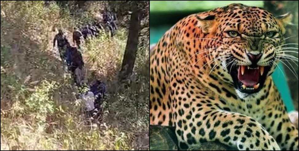 Leopard attacks woman: woman died in a leopard attack in Nainital