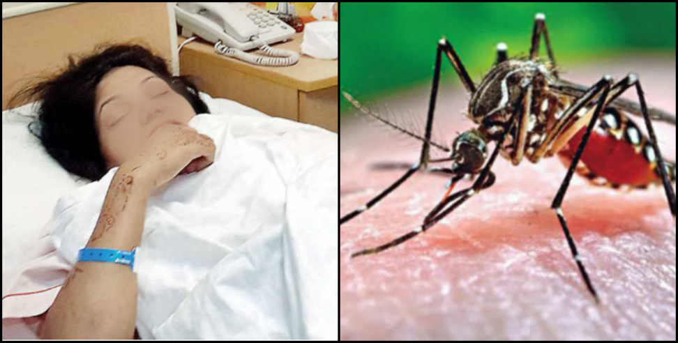 Dengue Patient in Dehradun: Dengue Patient in Dehradun