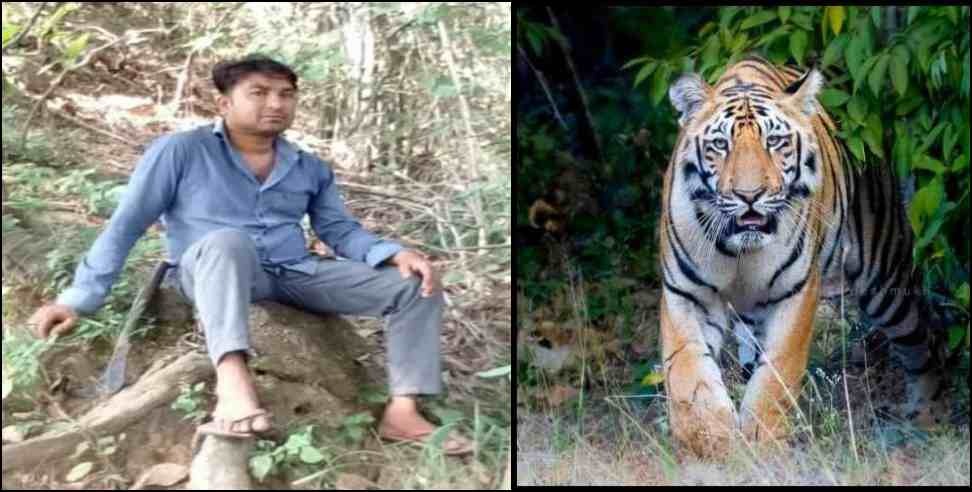 Tiger attack on forest workers in Corbett Park Ramnagar