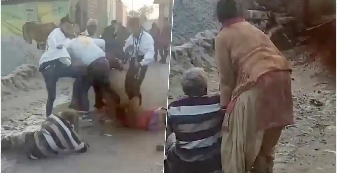 Angry husband beat Father–mother in law: angry husband beat up mother-in-law and father-in-law