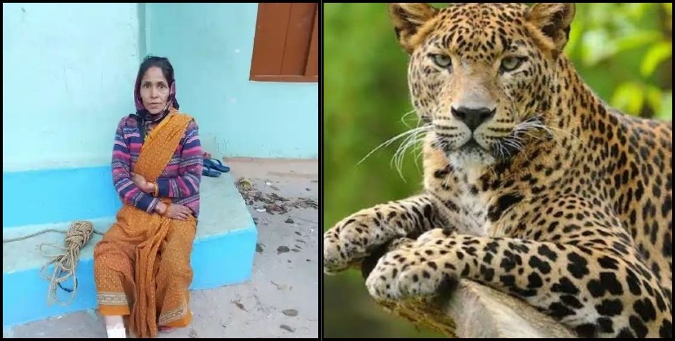 Leopard attack women rudraprayag : woman fought with a leopard with a sickle in her hand