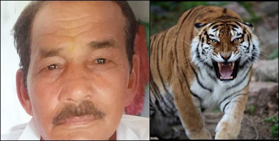 Khatima tiger attack: 69-year-old man died in a Leopard attack
