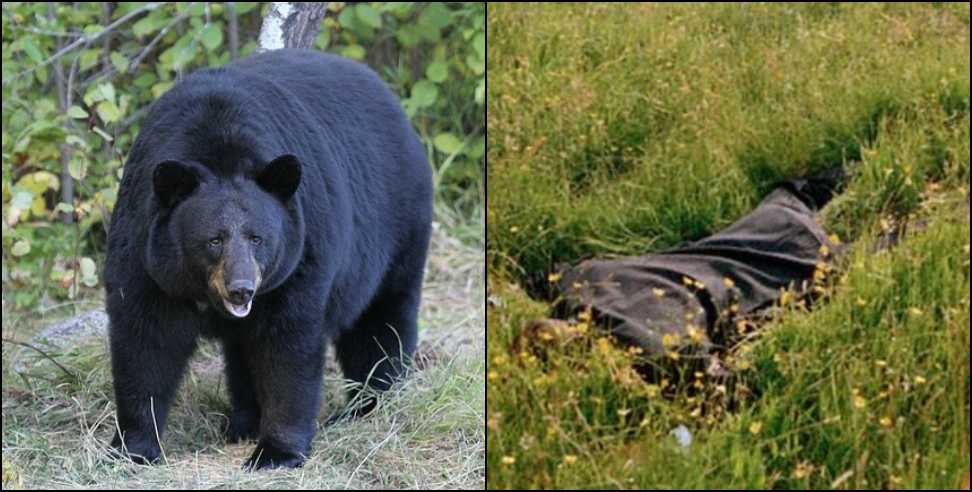 Chamoli news: Chamoli bear attack on women