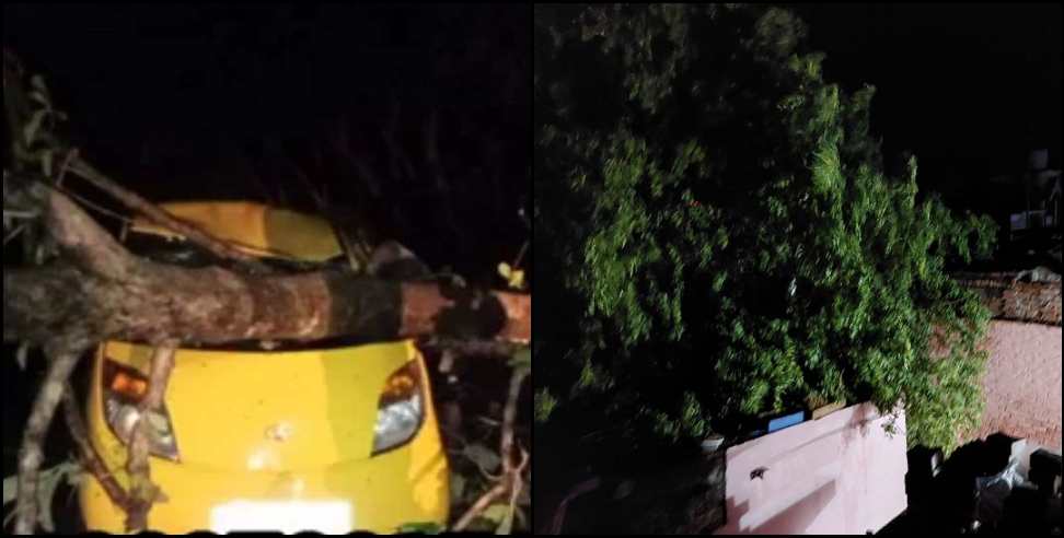 haldwani toofan car : Youth dies after tree falls on car in Haldwani