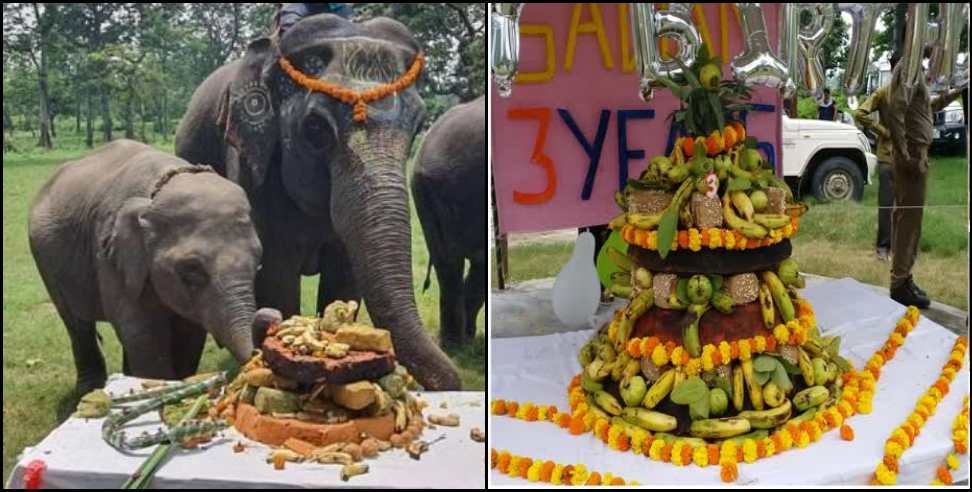 Corbett National Park: Little elephant Sawan birthday in Corbett National Park