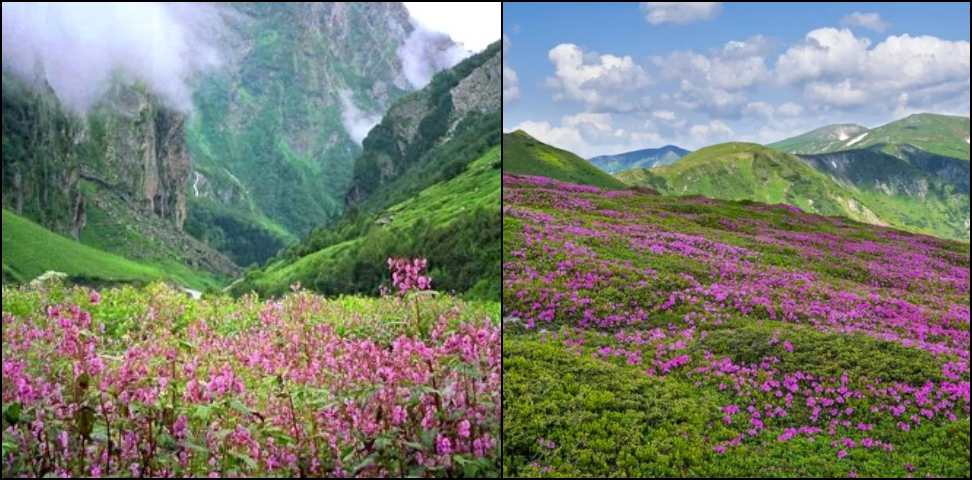 Trek of the Year-2025: Chinap Valley declared Trek of the Year-2025
