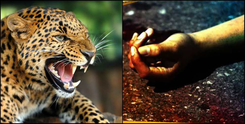 Chamoli News: Leopard attack on laborer in Chamoli district