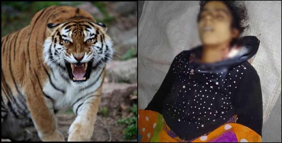 Bhimtal Tiger terror: Tiger attack on 18 year old girl Nikita Sharma in Bhimtal