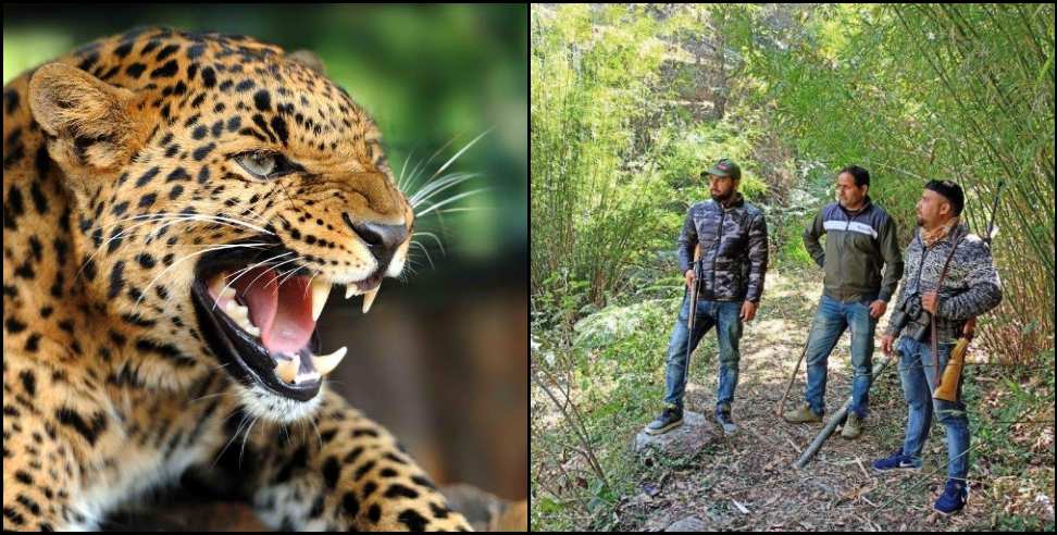 Pithoragarh News: Leopard in Siroli village of Pithoragarh