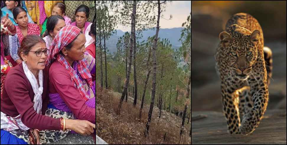Uttarakhand Leopard Attack: Leopard Kills Woman Collecting Fodder in Pauri Garhwal