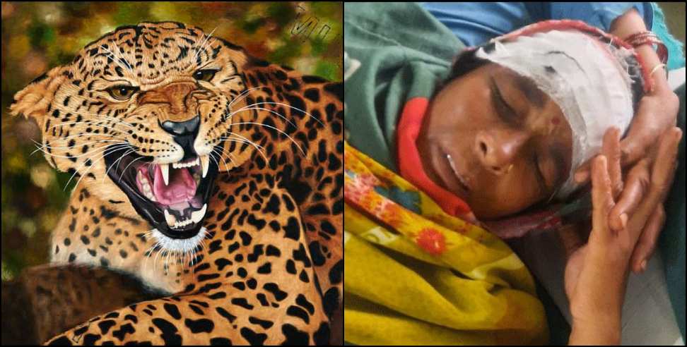 pithoragrh deepa devi guldar : Fight between Pithoragarh Deepa Devi and Leopard
