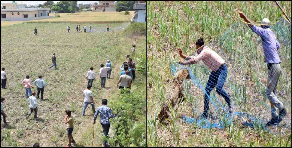 haldwani sdm manish singh leopard: Haldwani SDM Manish Singh and team caught Leopard