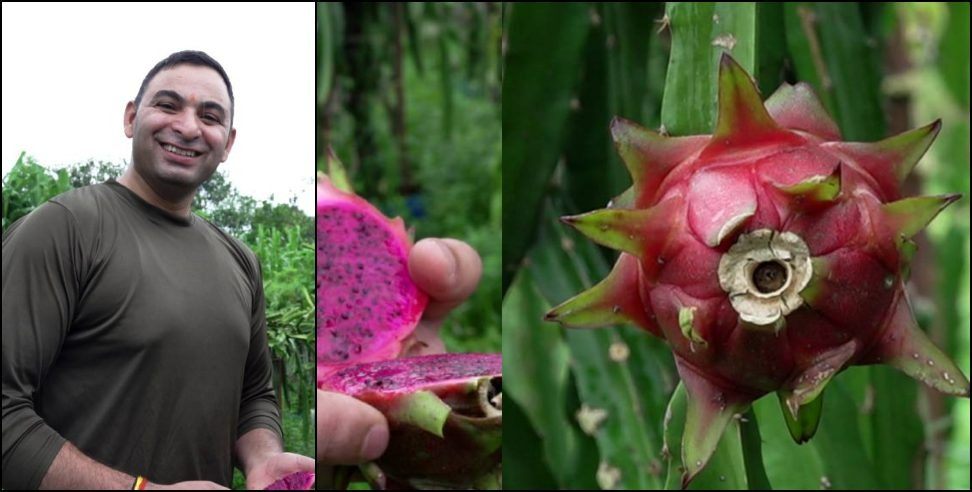 Manoj Semwal Dragon Fruit Farming: Dehradun Manoj Semwal Dragon Fruit Farming