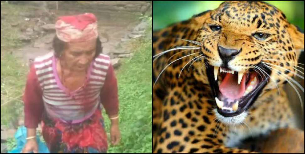 Cheta Devi was attacked by a leopard in Rudraprayag