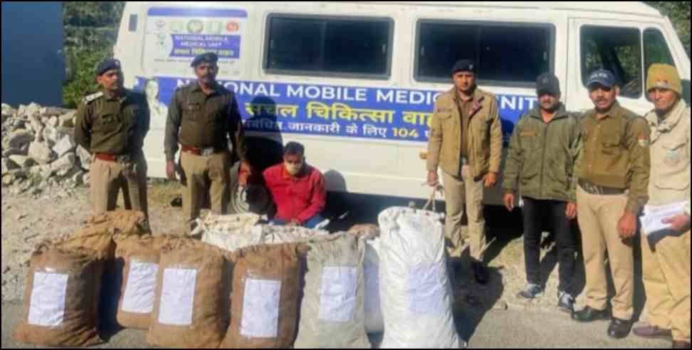 Uttarakhand Ambulance Ganja: 218 kg ganja inside ambulance in Almora Uttarakhand