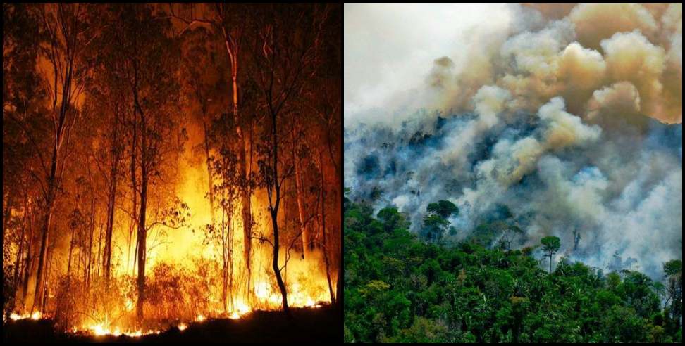 Uttarakhand jungle fire: 4 people died in jungle fire uttarakhand