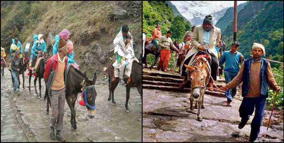 kedarnath horse mule death: action against animal cruelty in Kedarnath