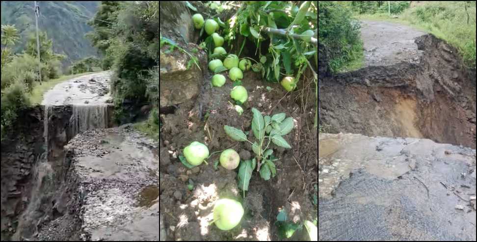 Apple crop destroyed due to heavy rain in Uttarkashi
