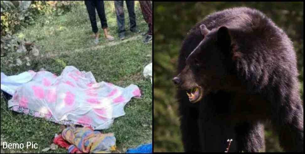 Chamoli Mokh Malla Village Asha Devi Bear: Bear attacked Asha Devi in ​​Mokh Malla village of Chamoli district