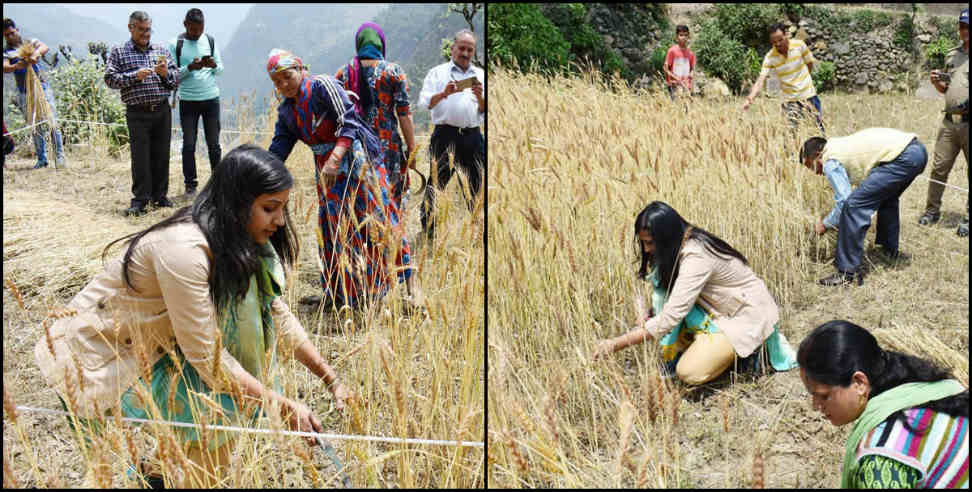 उत्तराखंड: Chamoli district dm swati bhadauriya