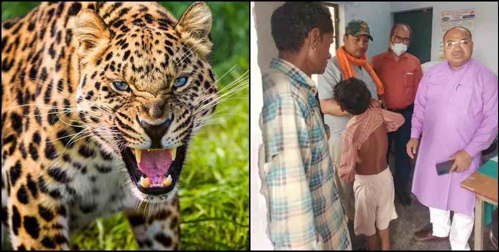 nanakmatta kulvindar leopard: Mother fought with Leopard to save son in Nanakmatta