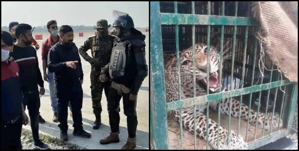 Dehradun News: Leopard at Jolly Grant Airport in Dehradun