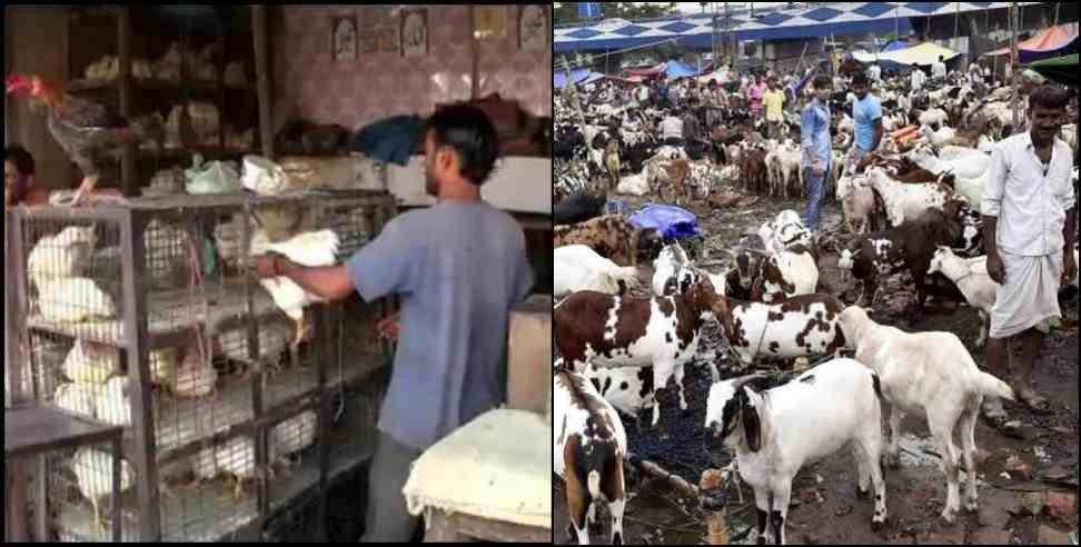 Dehradun Fake Chicken Mutton: High court instructions regarding chicken mutton shop in Dehradun