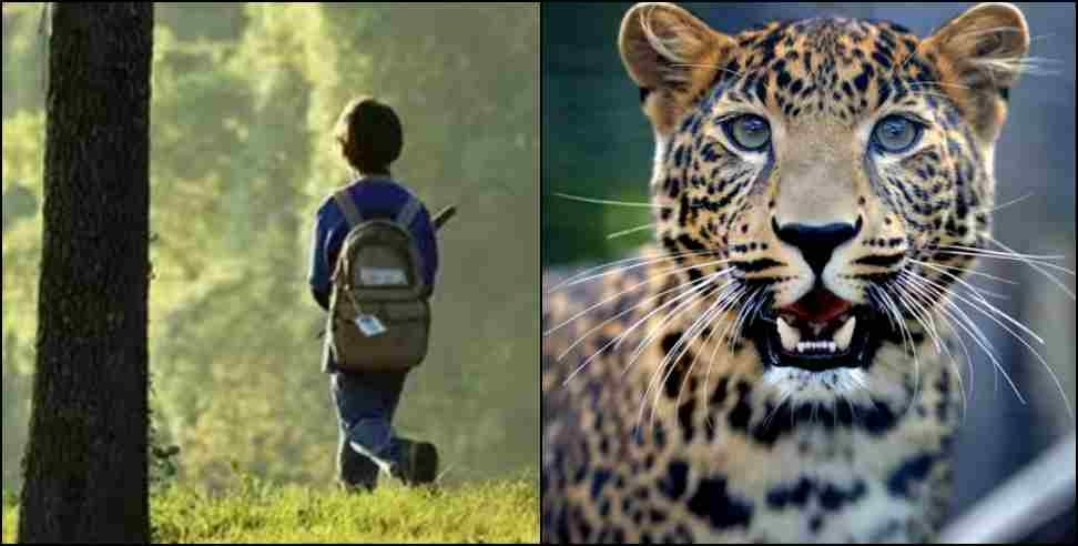 Nainital 5 years boy leopard : Nainital 5 Years Boy took brave step in front of Leopard