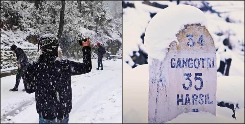 Snowfall in Harsil: Beautiful Pictures of Snowfall in Gangotri Harsil Uttarkashi