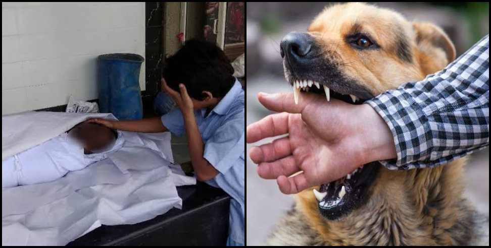 dehradun dog bite: 15 year boy died due to dog bite in dehradun