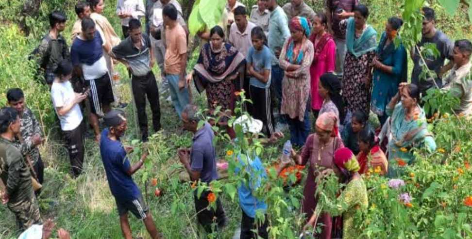 Uttarakhand Leopard Attack: Leopard Attack Kills Woman in Pauri Garhwal
