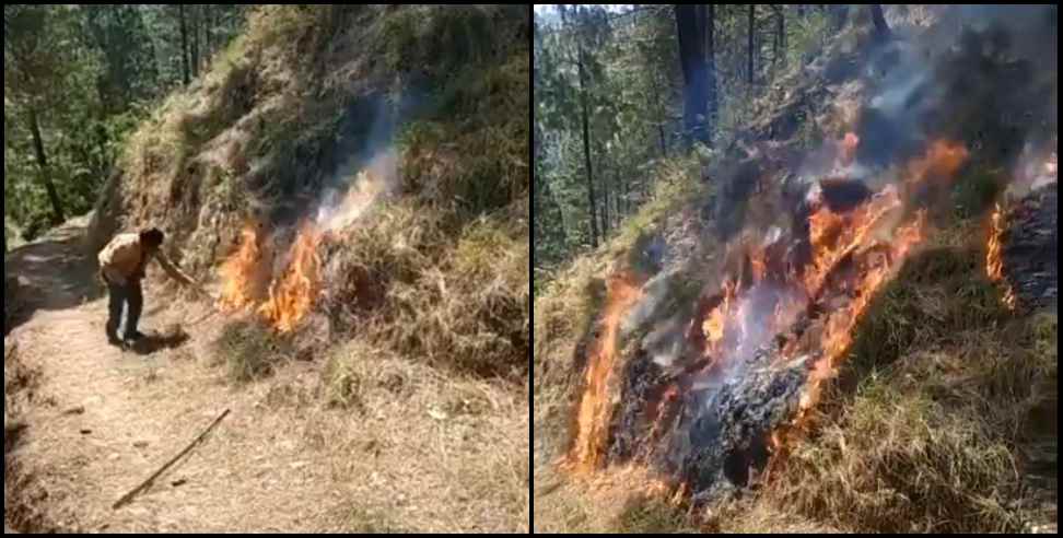 Almora forest fire: Young man set fire to forest for tic-tok video
