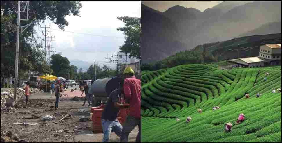 Dehradun ambiwala new construction ban : No new construction in Dehradun tea garden Ambiwala