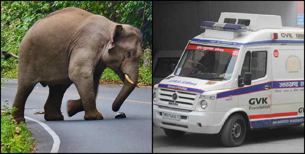 Nainital News: Delivery in ambulance in Ramnagar Uttarakhand