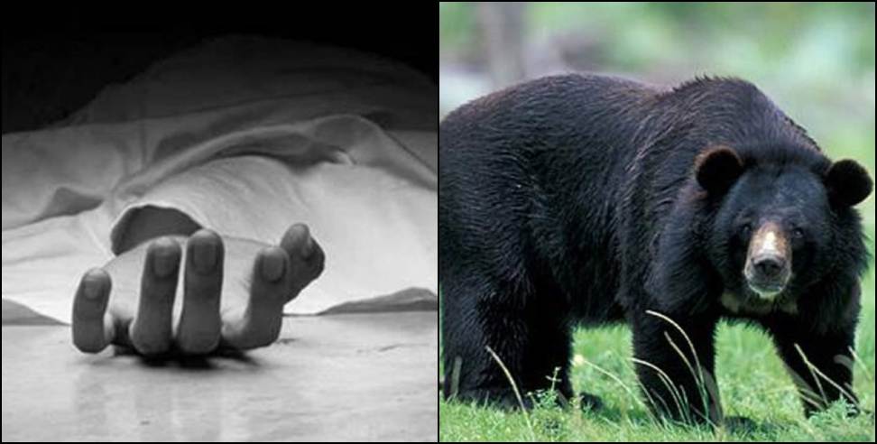 Bear attacks couple: Bear attacks couple in Chamoli