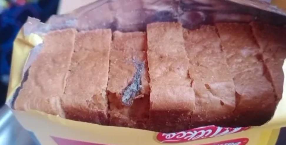 Lizard Found in Packed Rusk: Dead Lizard Found in Sealed Rusk Pack in Roorkee