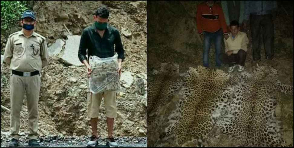 Chamoli Wildlife Smuggling: Wildlife smuggling from Chamoli to Nepal China