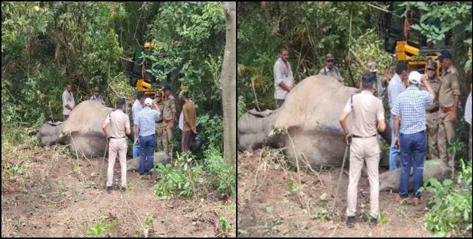 Tanda range Elephant: Elephant dead Body found in tanda range