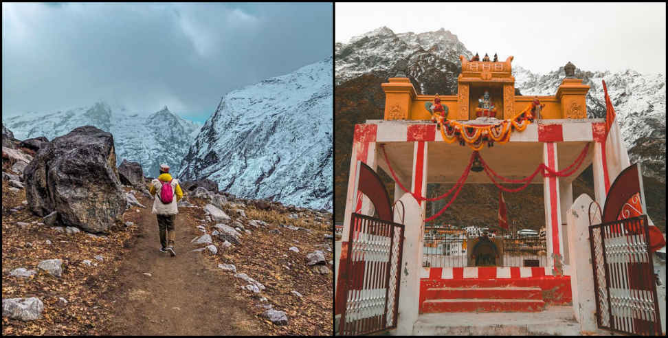 उत्तराखंड न्यूज: Story of leela dungi badrinath