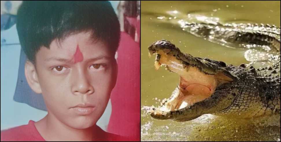 12-Year-Old Boy Killed in Crocodile Attack