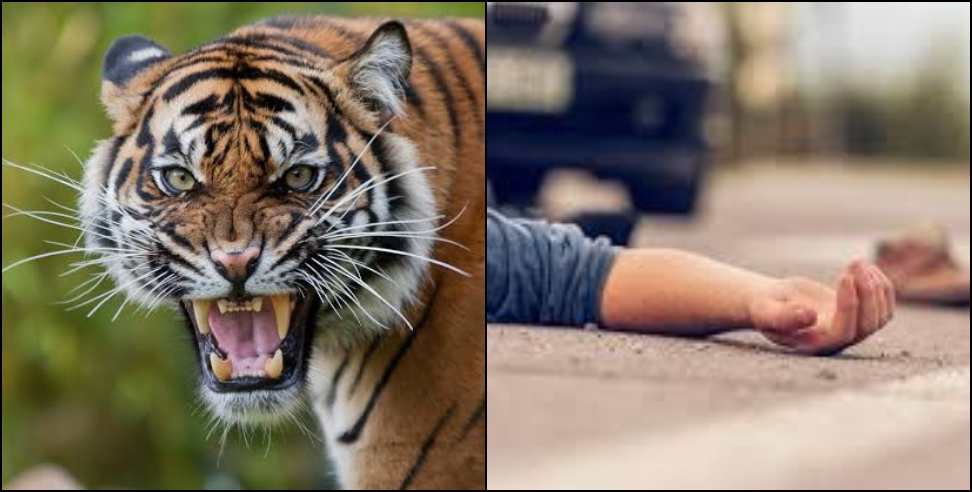 Nainital tiger: Tiger attack a man in nainital