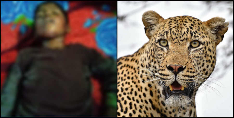 Leopard attack: Kids not going to school scared of leopard in kotdwar