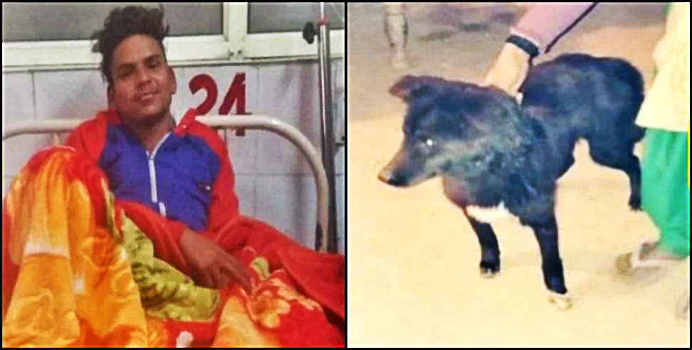 उत्तराखंड: Viral story of a dog in uttarakhand