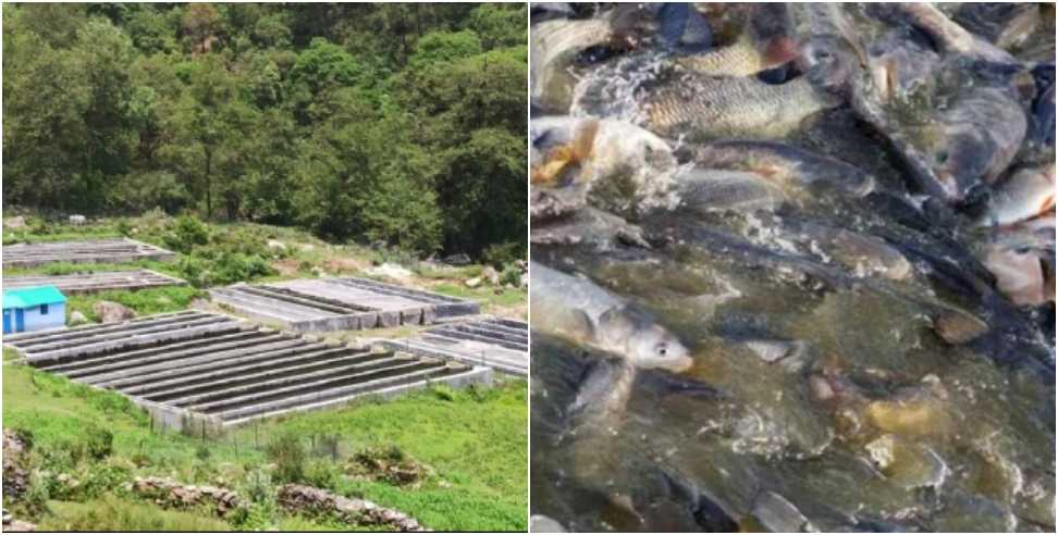 Self Employment in Chamoli: Self Employment From Trout Fishing in Chamoli
